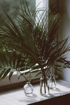 two vases with plants in them sitting on a window sill