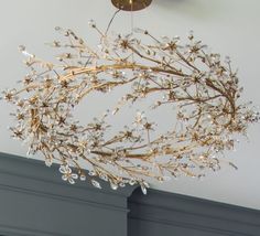 a chandelier hanging from the ceiling in a room with gray walls and white trim