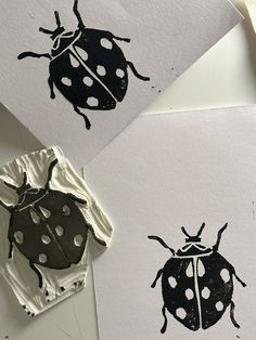 three drawings of ladybugs on white paper