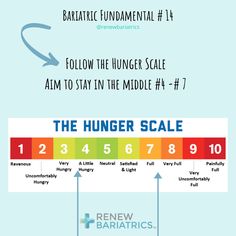 Hunger Scale, Patient Care Coordinator, Bariatric Meals, Bariatric Sleeve, Cardiac Disease, Bariatric Friendly Recipes, Bariatric Surgeon