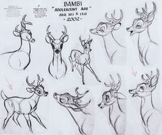 sketches of deer from the animated film bambi