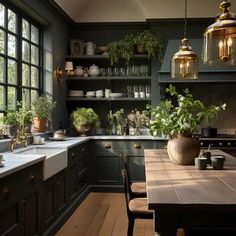 a kitchen filled with lots of green plants and potted plants on top of a wooden table