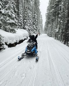 a person on a snowmobile in the middle of a snowy road with pine trees