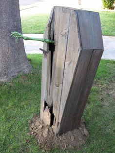 an old wooden door is in the ground next to a tree