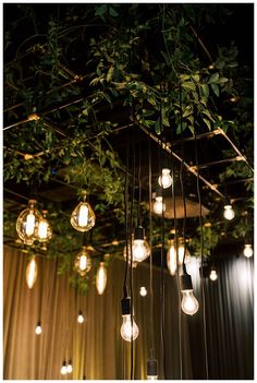 several light bulbs hanging from the ceiling with greenery on it and some lights above them