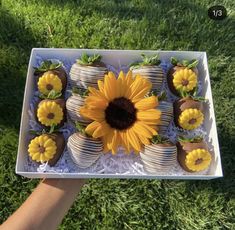 there is a tray with cupcakes and sunflower on it