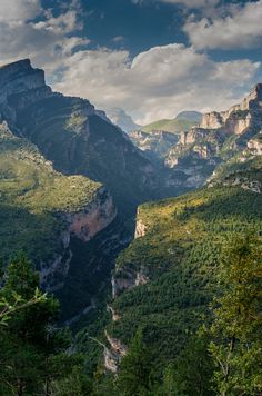 the mountains are surrounded by trees and clouds