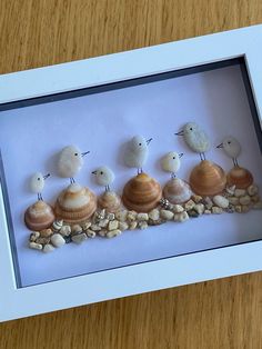 a group of sea shells sitting in a shadow box on top of a wooden table