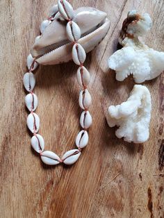 Hɑաɑííɑղ COWRIE shell choker * seashell necklace * unisex jewelry * beach choker * sմɾƒ girl * surf ցմվ * I will make your necklace today order. I will make it a standard length and add a chain so you can adjust it unless we otherwise agree on a length. White Shell Strand Choker, White Shell Choker Necklace For Beach, White Shell Choker For Beach, Beachy Choker Necklaces For The Beach, White Casual Shell Necklace For Festival, Casual White Shell Necklace For Festivals, White Shell Choker For The Beach, Handmade Shell-shaped Choker For The Beach, Beachy Cowrie Shell Necklace For Festivals