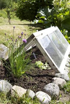 a garden with rocks and plants in the ground next to a small white box that is sitting on top of some dirt