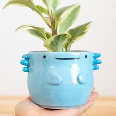 a hand holding a blue ceramic planter with a green plant in it's mouth