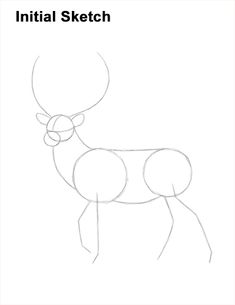 how to draw a deer with simple lines