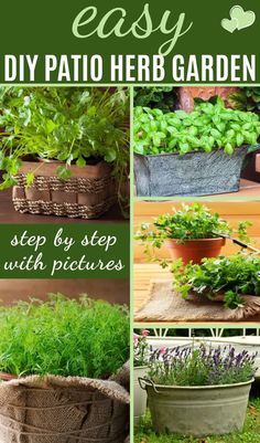 an easy diy patio herb garden that is great for growing herbs in pots or containers