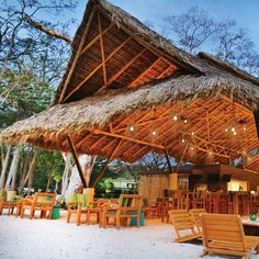 an outdoor restaurant with tables and chairs under a thatched roof, surrounded by trees