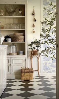 a kitchen with white cabinets and plants in the corner