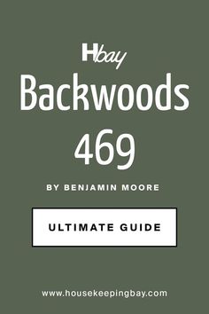 Backwoods 469 by Benjamin Moore. The Ultimate Guide Bm Backwoods Paint, Bm Backwoods, Backwoods Benjamin Moore, Benjamin Moore Backwoods, Benjamin Moore Beige, Benjamin Moore Bedroom, Scandi Bedroom, Accent Wall Colors, Trim Colors