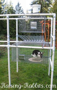 a black and white dog laying on top of a cage