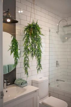 a bathroom with white tiles and green plants hanging from the ceiling above the toilet seat