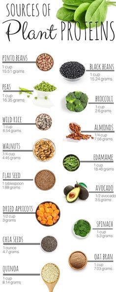 Plant Proteins, Healthy Beans, Good Eat, Think Food, Plant Based Eating, Plant Protein, Vegan Foods