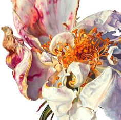 a painting of a white flower with orange stamens