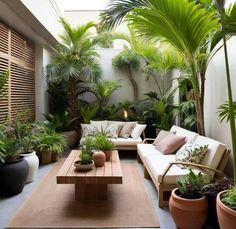 a living room filled with lots of potted plants next to a wooden coffee table