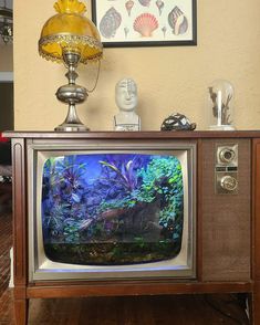 an old television set is turned into a fish tank