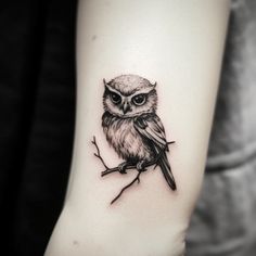 an owl tattoo on the arm with a branch in it's foregrounds