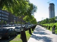 cars parked on the side of a road next to tall buildings and grass covered park