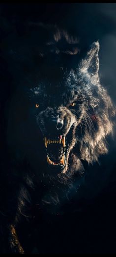 Wolf Growling, Scary Wolf, Soldier Graphic, Angry Wolf, Wolf Warriors, Hd Dark Wallpapers, Lion Artwork, Bike Sketch