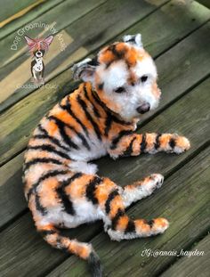 a stuffed tiger laying on top of a wooden bench