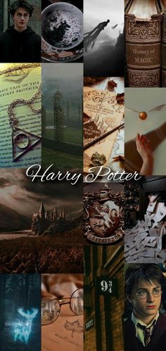 harry potter collage with images and words