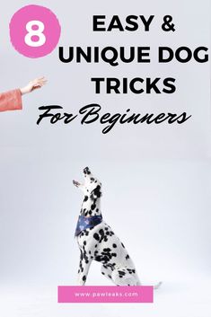 a woman is standing next to a dalmatian dog with the words 8 easy and unique dog tricks for beginners