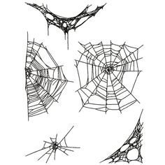 three spider webs are shown in black and white