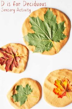 three leaf shaped cookies on top of each other with the words dis for deciduous