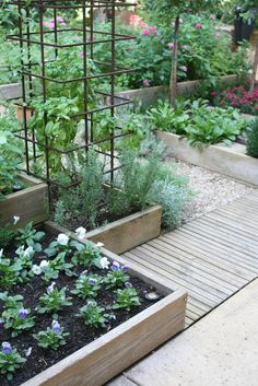 a garden filled with lots of different types of flowers and plants in wooden boxes next to each other