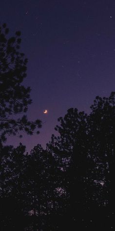 the night sky is lit up with stars and moon in the distance, as seen through trees