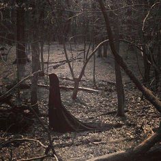 a ghostly woman standing in the middle of a forest surrounded by trees and fallen branches