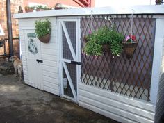 a white shed with potted plants on the side and a dog in the background