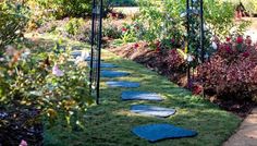 a garden with stepping stones in the grass