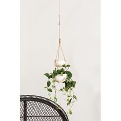 a plant hanging from a rope over a chair