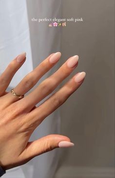 Manicured Nails, Engagement Nails, Milky Nails, Subtle Nails, Casual Nails, Soft Nails, Neutral Nails, Clean Nails, Hot Nails