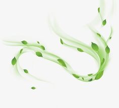 green leaves blowing in the wind on a white background