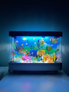 an aquarium with many different types of fish in it and some lights on the side