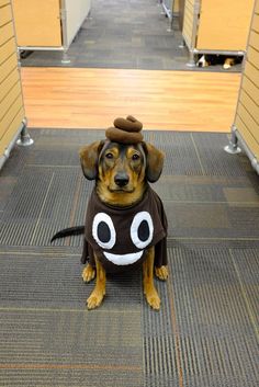 a small dog wearing a shirt with eyes and a hat on it's head