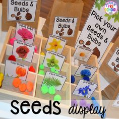 seed and flower seeds display in wooden boxes with labels on them that read, pick your own seeds and display