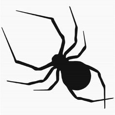 a black and white image of a spider