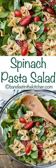 spinach pasta salad with tomatoes and spinach leaves