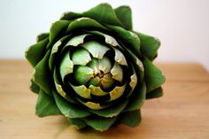 a large green flower sitting on top of a wooden table