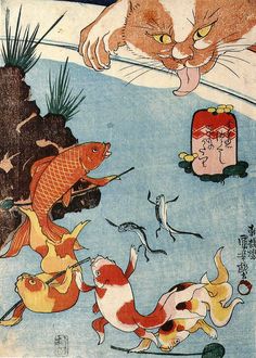 an image of cats and fish in the water