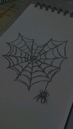 a drawing of a spider on a sheet of paper